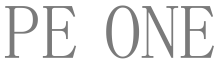 PE ONE